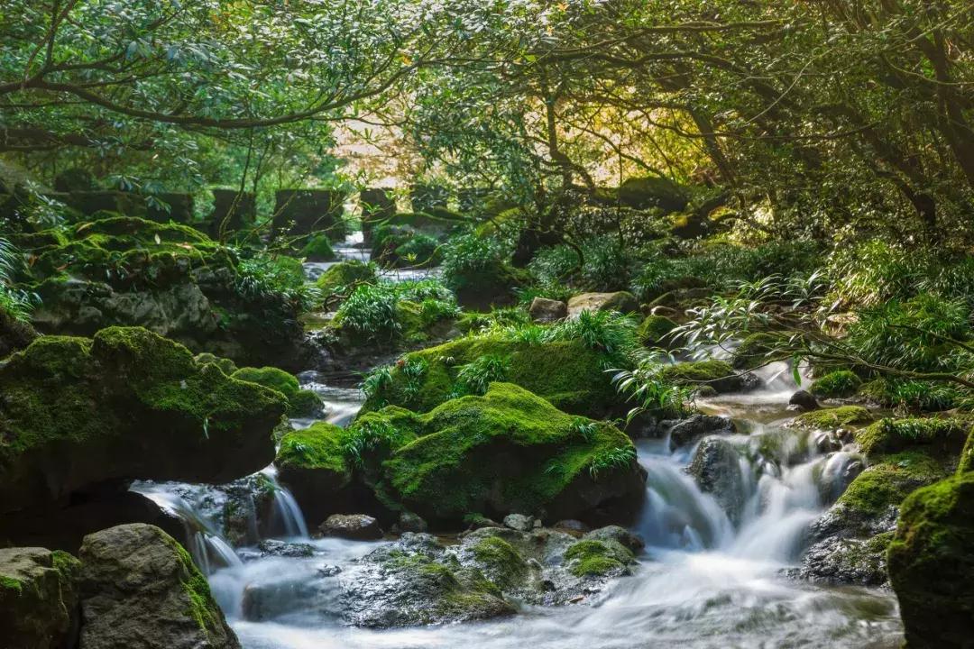 贵州黔东南为什么那么火,黔东南在贵州算不算穷的地方