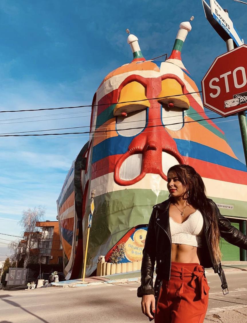 看了就想养的宠物,看了就想养宠物的视频