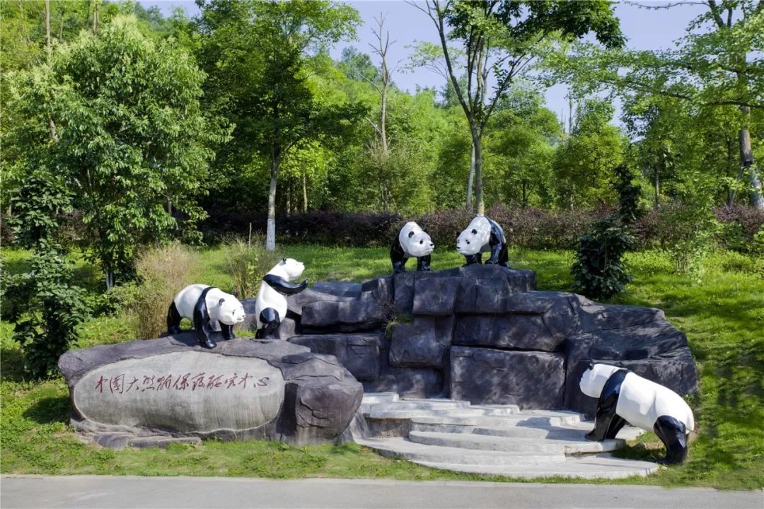 升维·蓄势·行大道丨500余位行业大咖青城山论道!第三届中国旅游上市公司峰会在都江堰市举行!