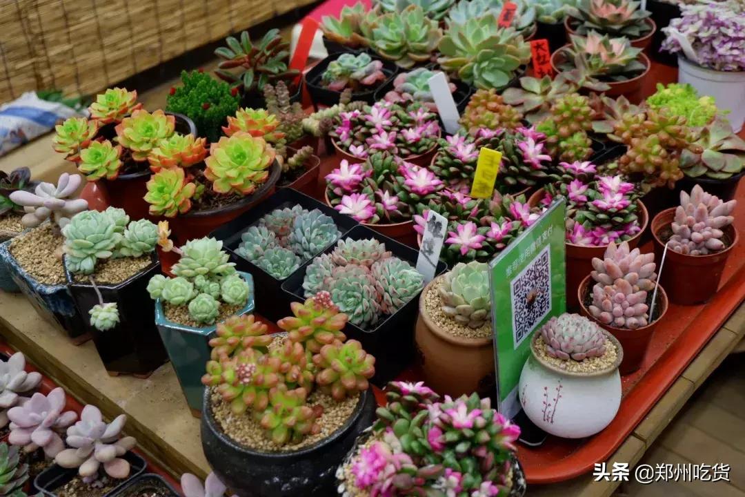 郑州哪个批发市场最便宜,最新最全郑州批发市场一览表