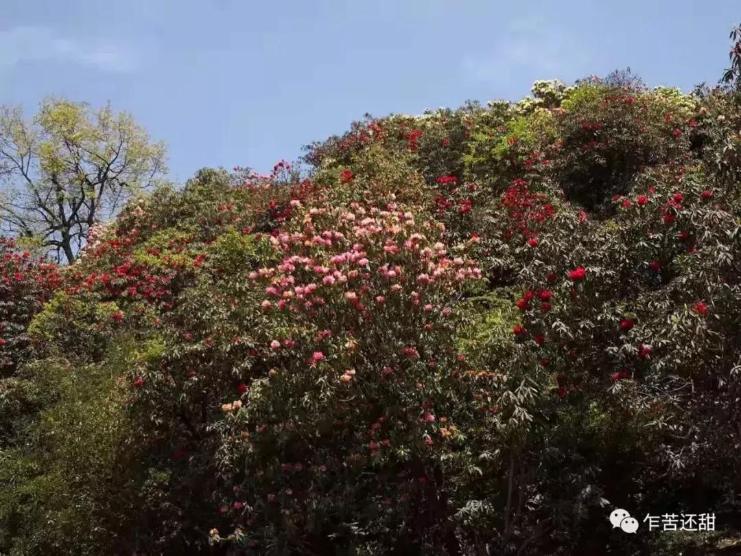 贵州值得去的县城,贵州有没有值得待两天的地方