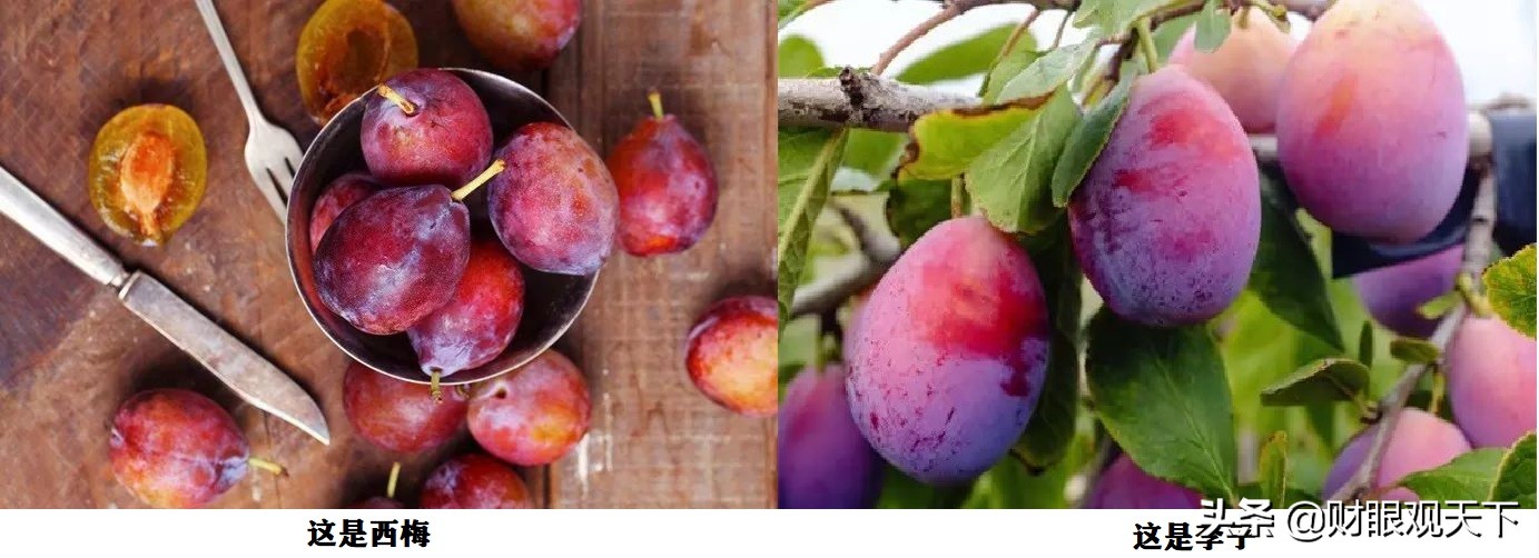 不能错过当地水果,不能错过美味的水果