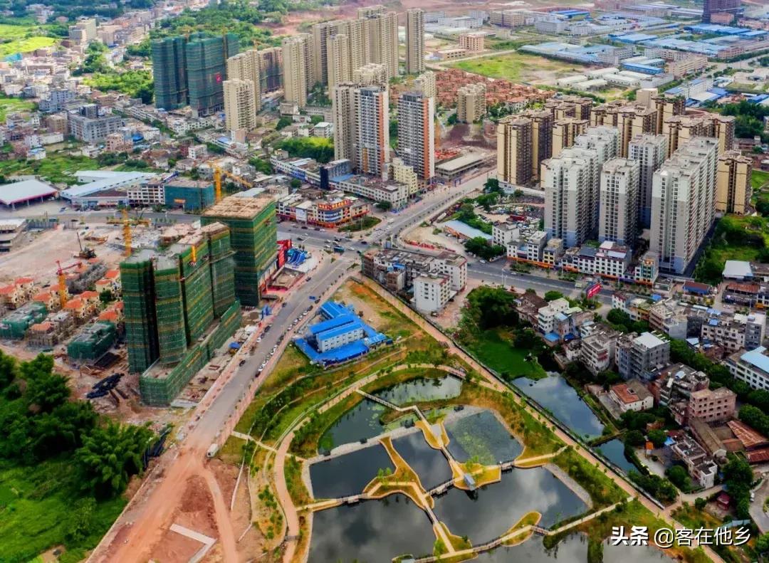 五华十大名人,五华名人榜