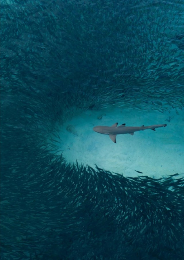 面馆生意不好加什么项目,面馆生意不好有什么办法火起来