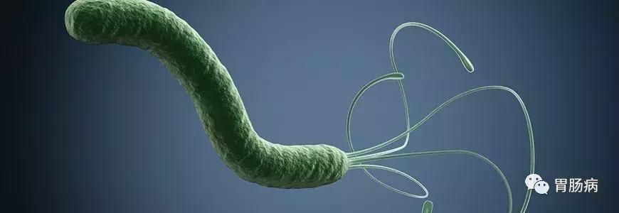 为什么中国这么多胃癌,为什么说胃癌超过5年就没事了