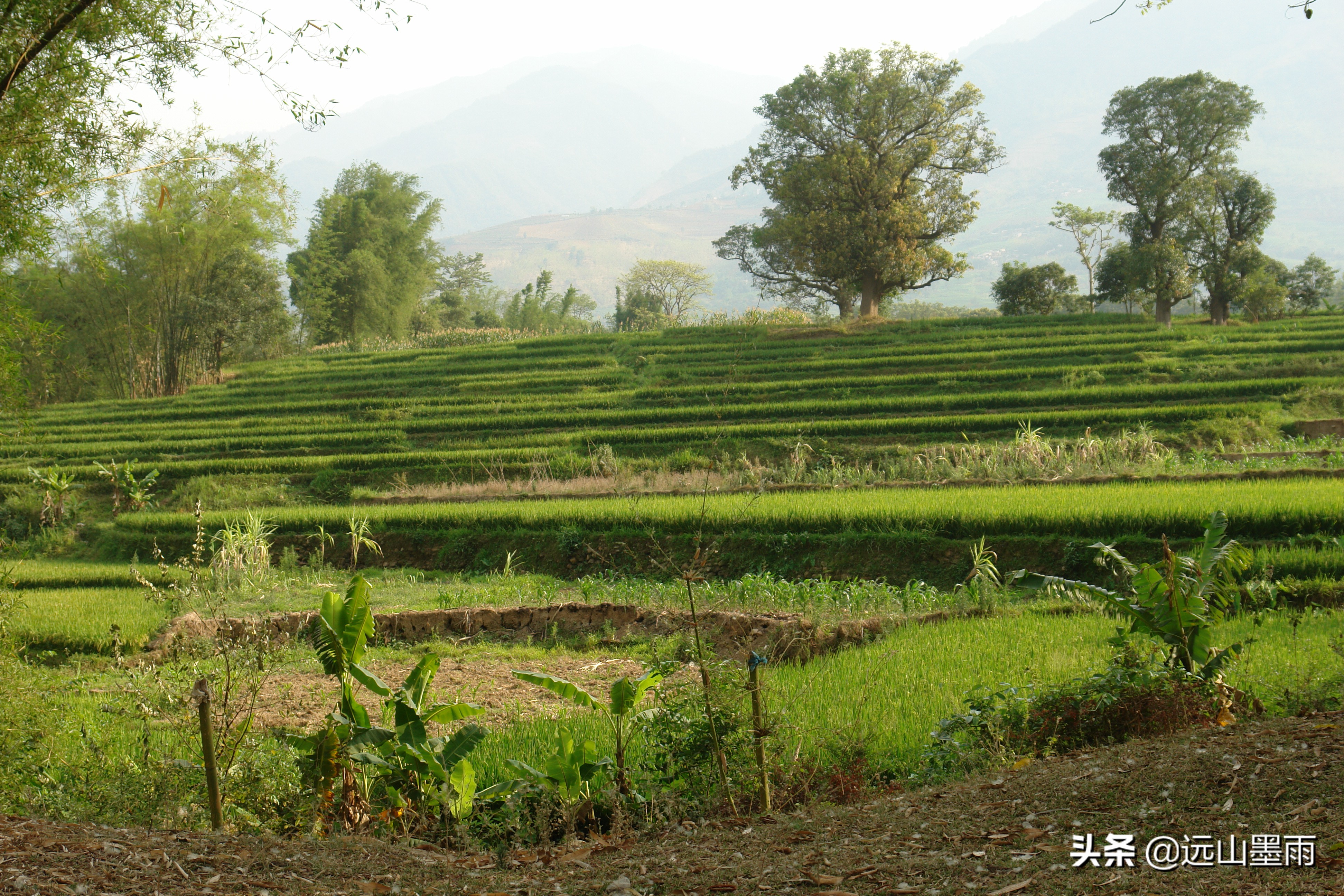 通往云南景谷的高速公路已在建，去这个美丽县城的路，将不再难行