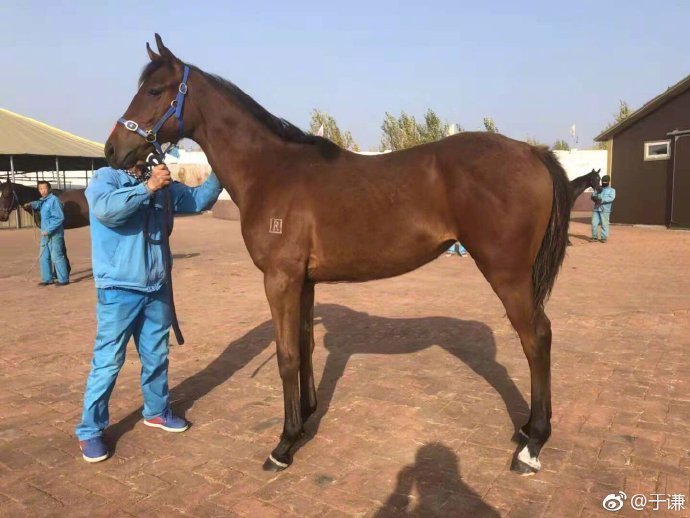 郭德纲说于谦劳斯莱斯,于谦给郭德纲祝寿