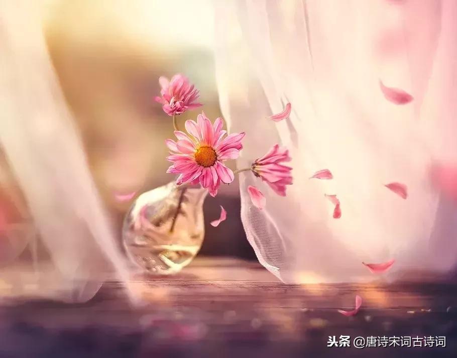 快乐是什么最有诗意的30个答案,如何用古语回答快乐的感受