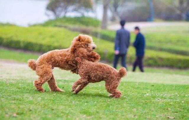 为啥说异性相吸,为什么说异性相吸