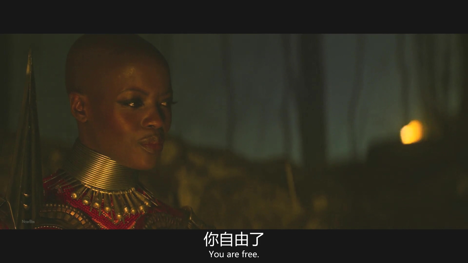 朵拉护卫队新盔甲,美队朵拉护卫队