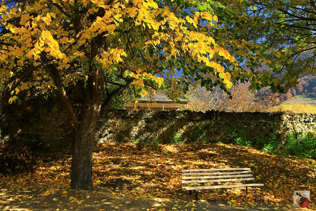 中亚高加索旅游攻略,探秘高加索走进格鲁吉亚