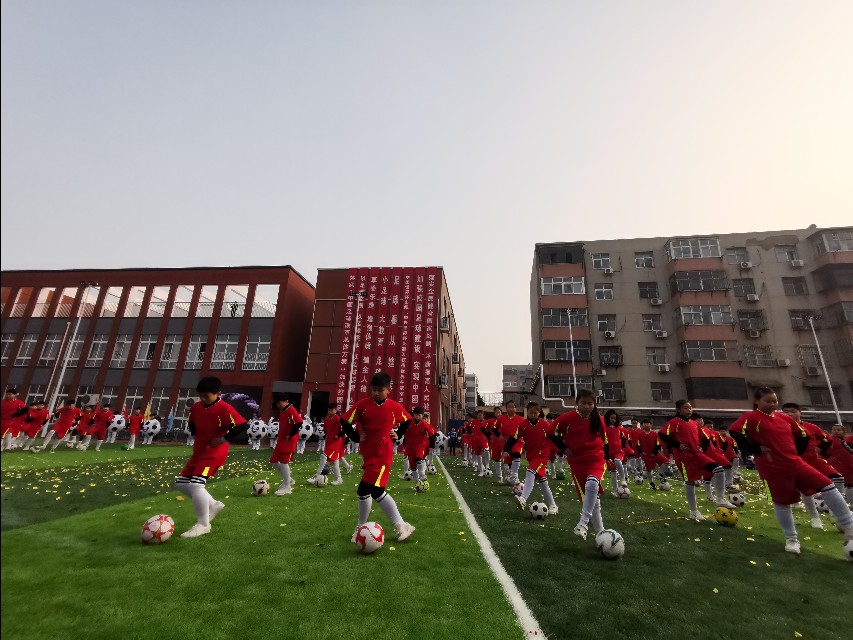 校园足球杯圆满落幕,华奥杯校园足球联赛