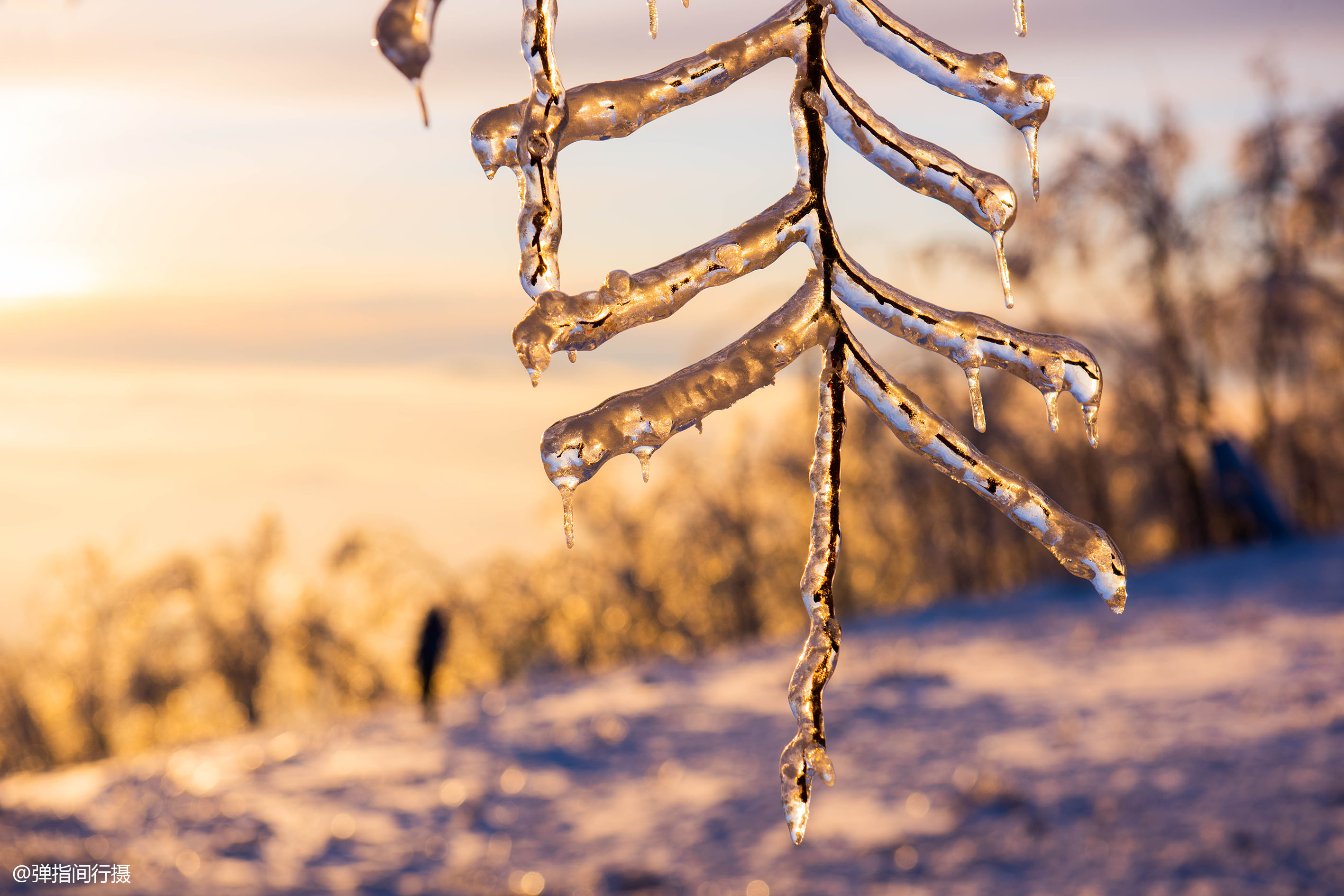 中国室内冰雪滑雪场,中国全年可以滑雪的滑雪场