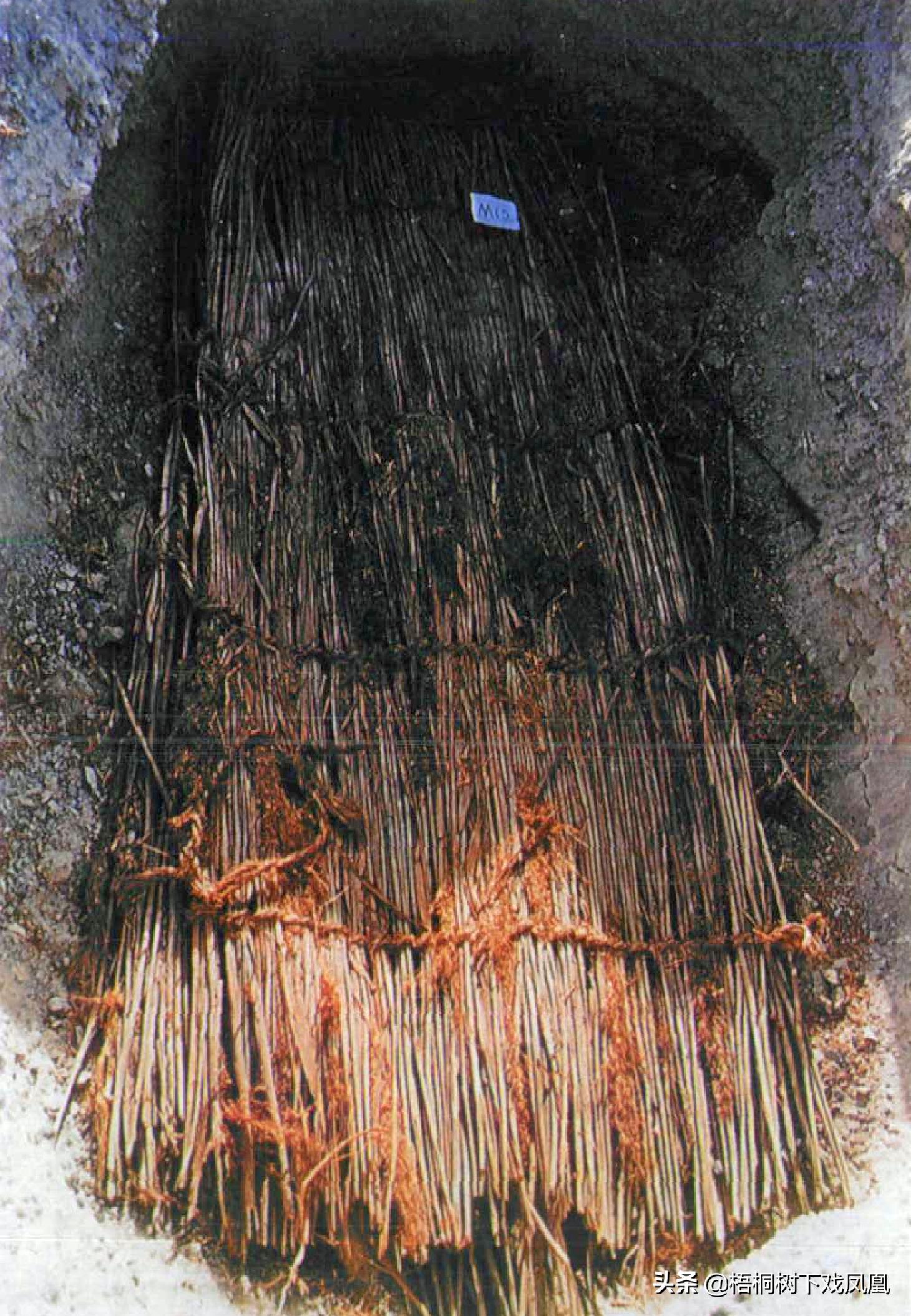 出土千年难得一见的古墓,考古发掘沙漠古墓