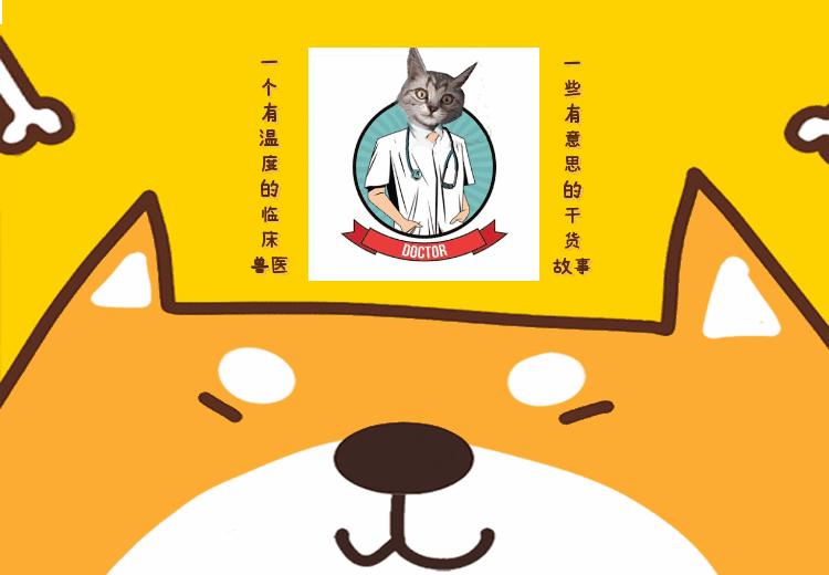 网友花十几万买了宝马摩托车，回家后发现坐垫被狗咬破，心态崩了