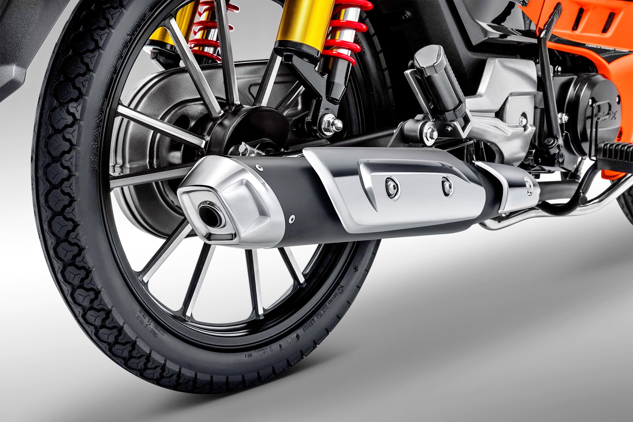 新瓶装老酒图片,老酒酒瓶图片大全