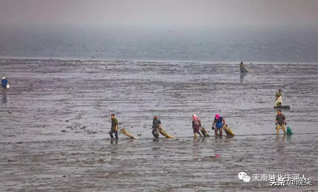大连庄河赶海排名第一名,庄河赶海网红视频