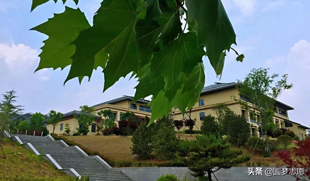 山财就业率在全国排名,山财和山大哪个就业好