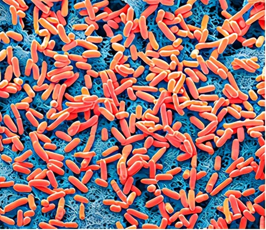 nature重磅揭秘人类抗击糖尿病历史,nature十大科学进展