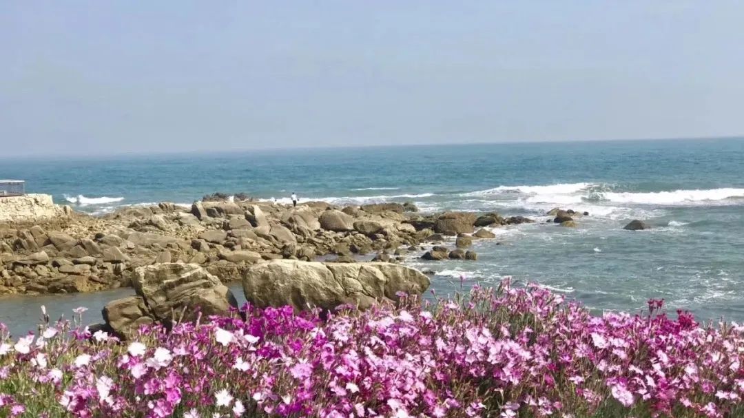 青岛西海岸啤酒节攻略,青岛西海岸周末去哪玩