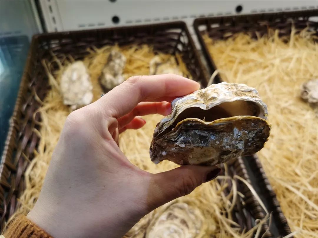 蹲点探店记录,蹲点考察绝味鸭脖