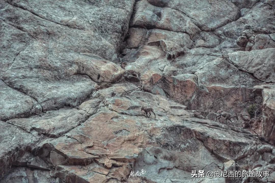 宁夏最值得去的景区,宁夏值不值得去的地方