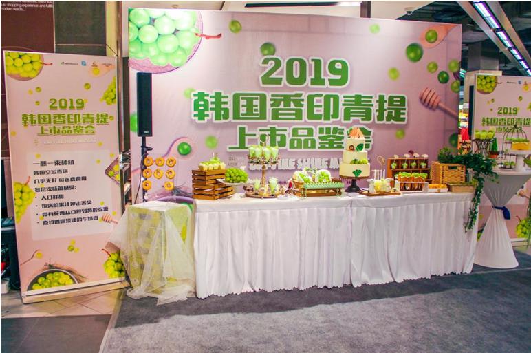 韩国香印青提介绍,寒冬凛冽韩文版