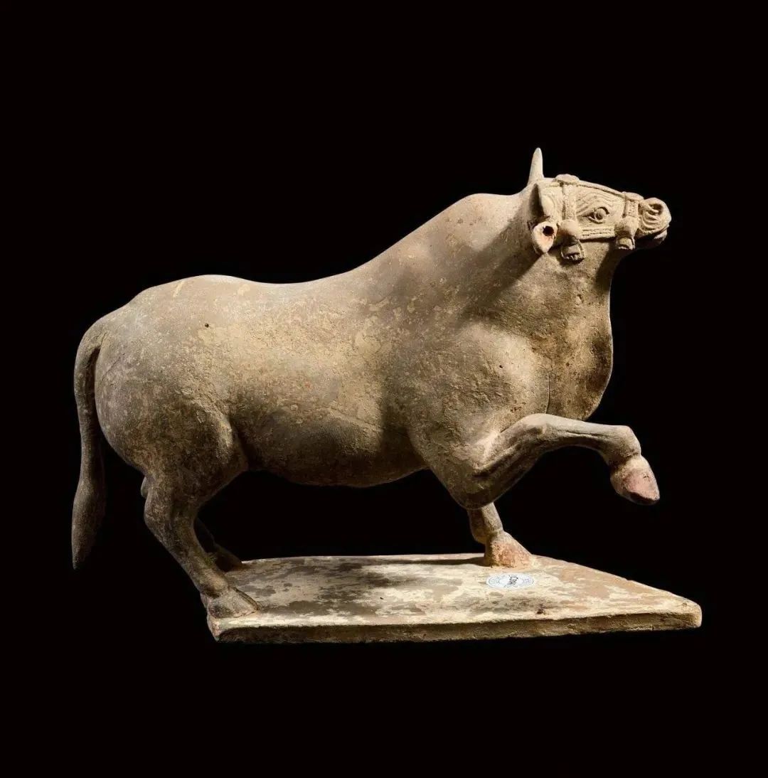 2021嘉禾送拍香港苏富比秋拍藏品 (苏富比香港秋拍各藏品价格)