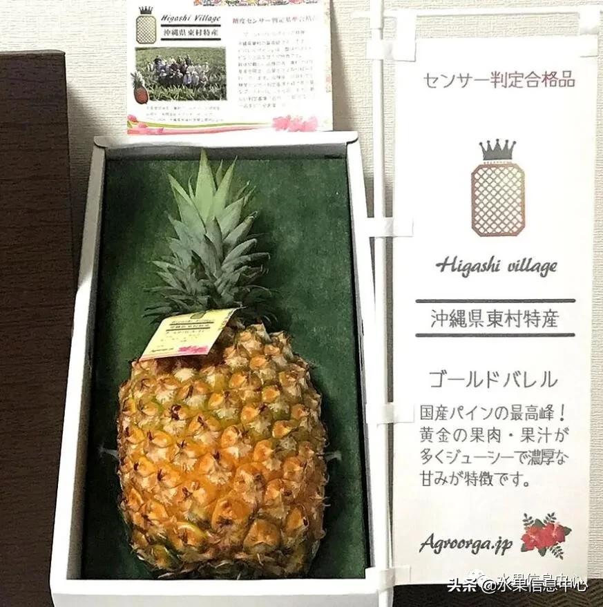 日本进口的菠萝,日本菠萝