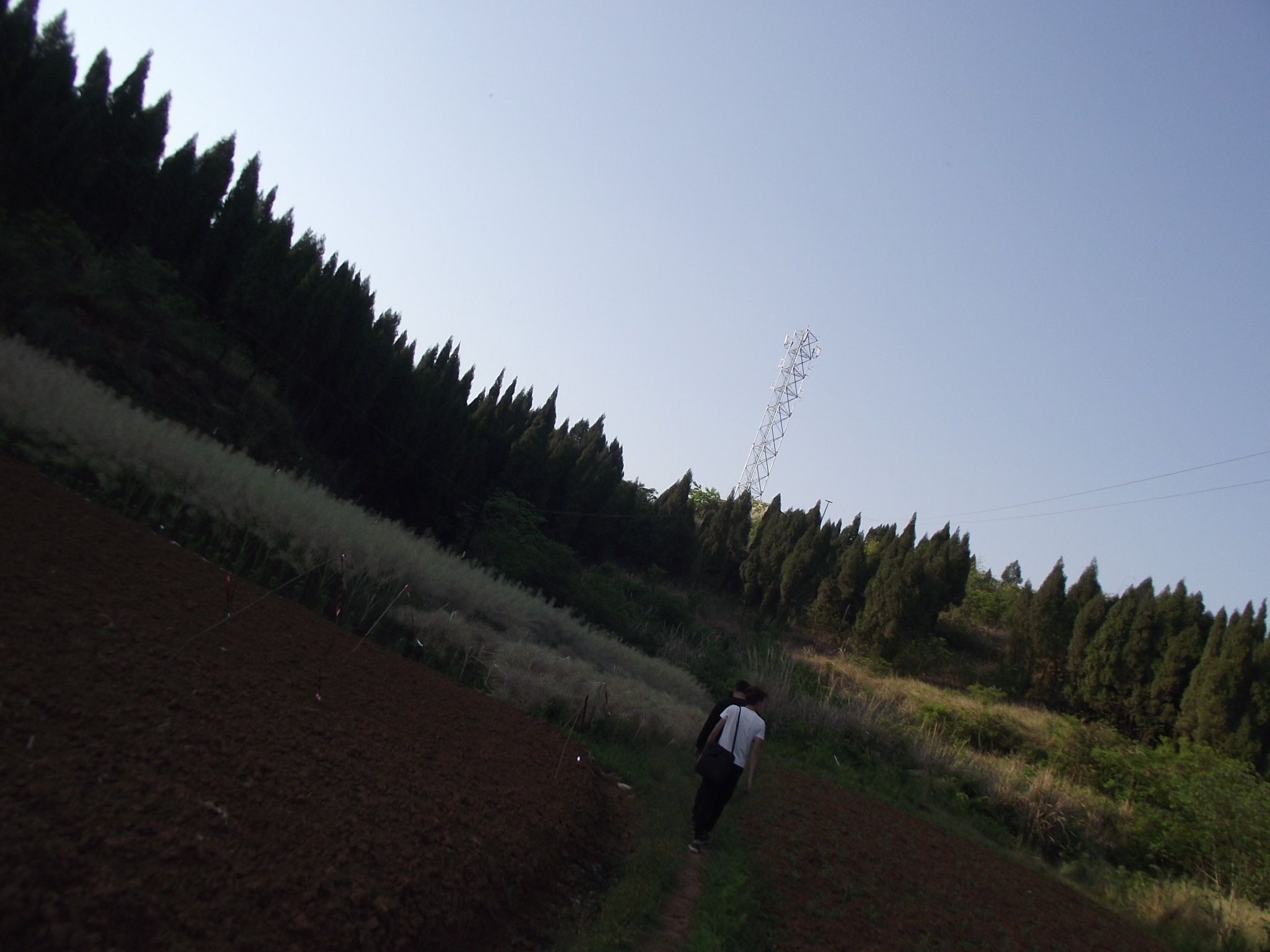 基站维护员学徒,辛苦的后勤维修工