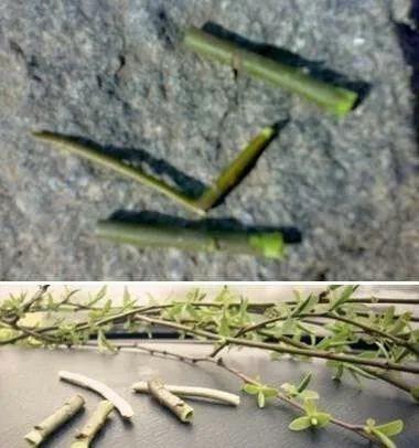 尘封的岁月和记忆,回忆在岁月的痕迹里记录美好