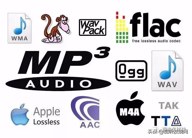 什么格式的音频文件音质最好,音频文件音质最好的格式