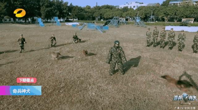 风水轮流转张馨予,风水轮流转女明星