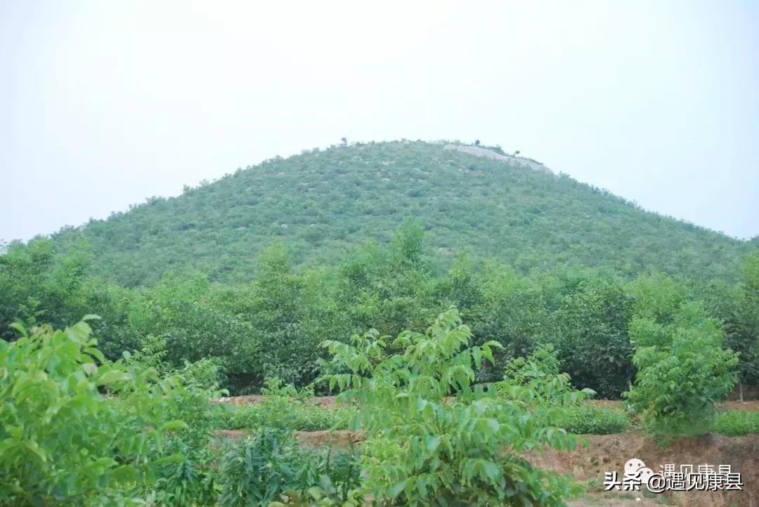 遇见康县丨遇见“万宝山”(一)
