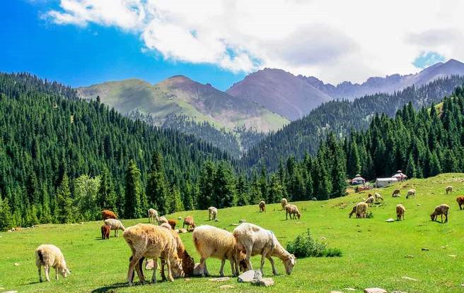 作家丁燕个人简介,丁燕个人资料简介
