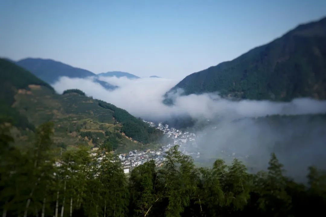 这个荣获浙江小吃冠军的小城已成网红打卡地，为了吃也值得来一趟