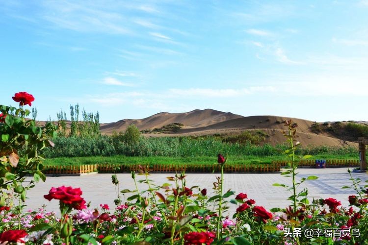 西天取经自驾游攻略,贵州出发自驾敦煌旅游攻略