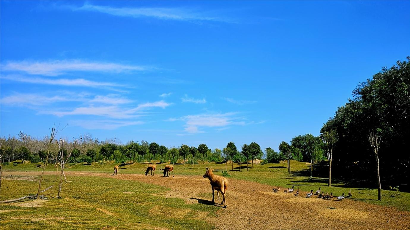 江苏省盐城市有哪些县和区,浅谈全国各省份