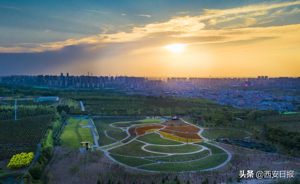 西安市有哪些公园免费开放,西安免费儿童玩的公园