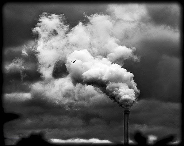 雾霾天拍摄教程,防治空气污染的方法