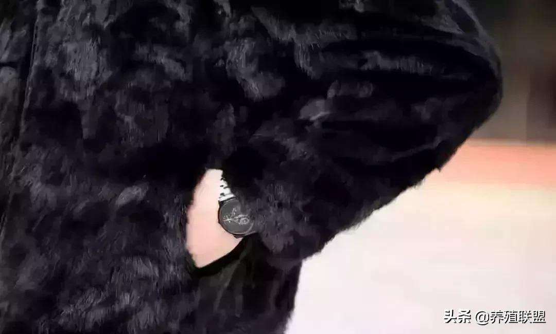 几千和几百的皮衣,一千块可以买什么档次的皮草