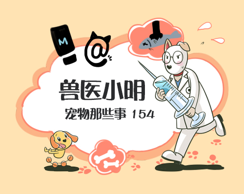 为去世的宠物进行殡葬仪式，是否真的有意义？宠物也需要尊严