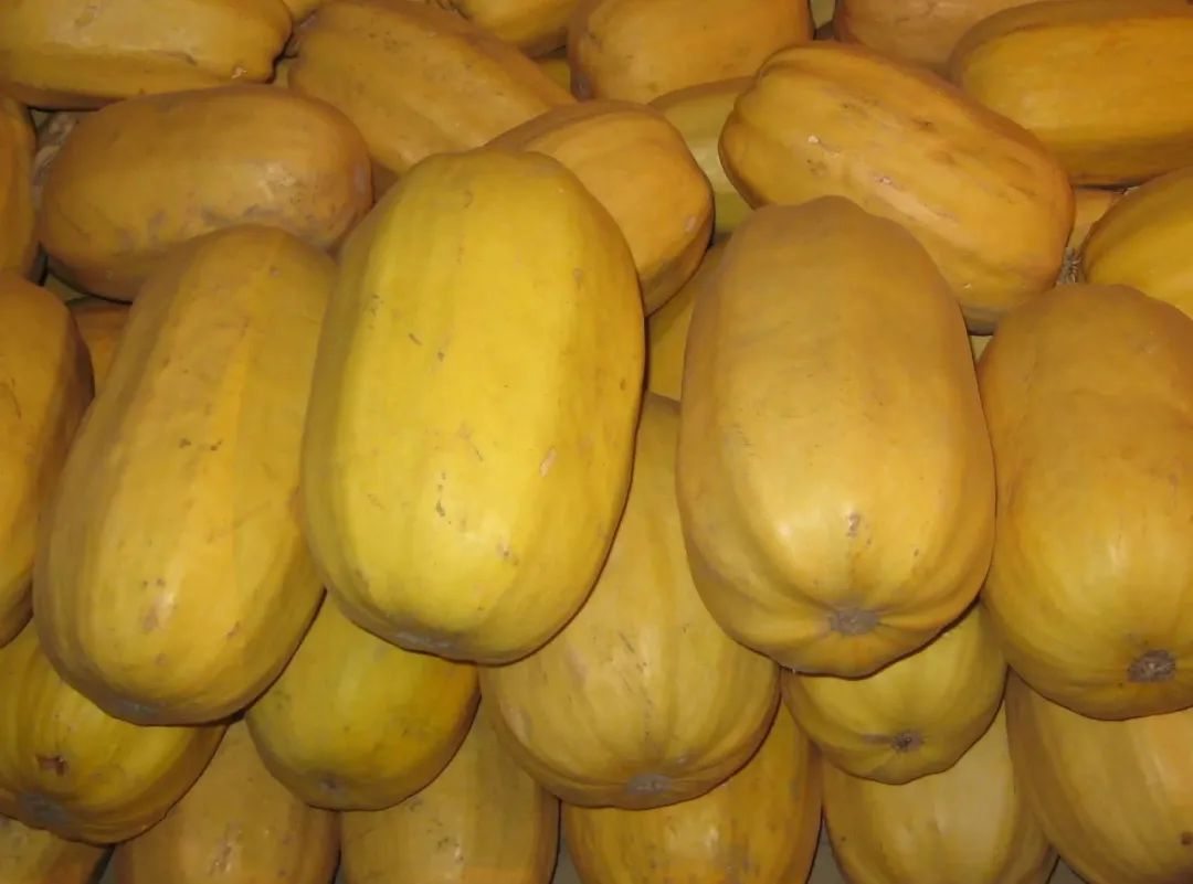 这食材第一次见，误以为是南瓜，切开后一圈圈拉丝，拌完像鱼翅