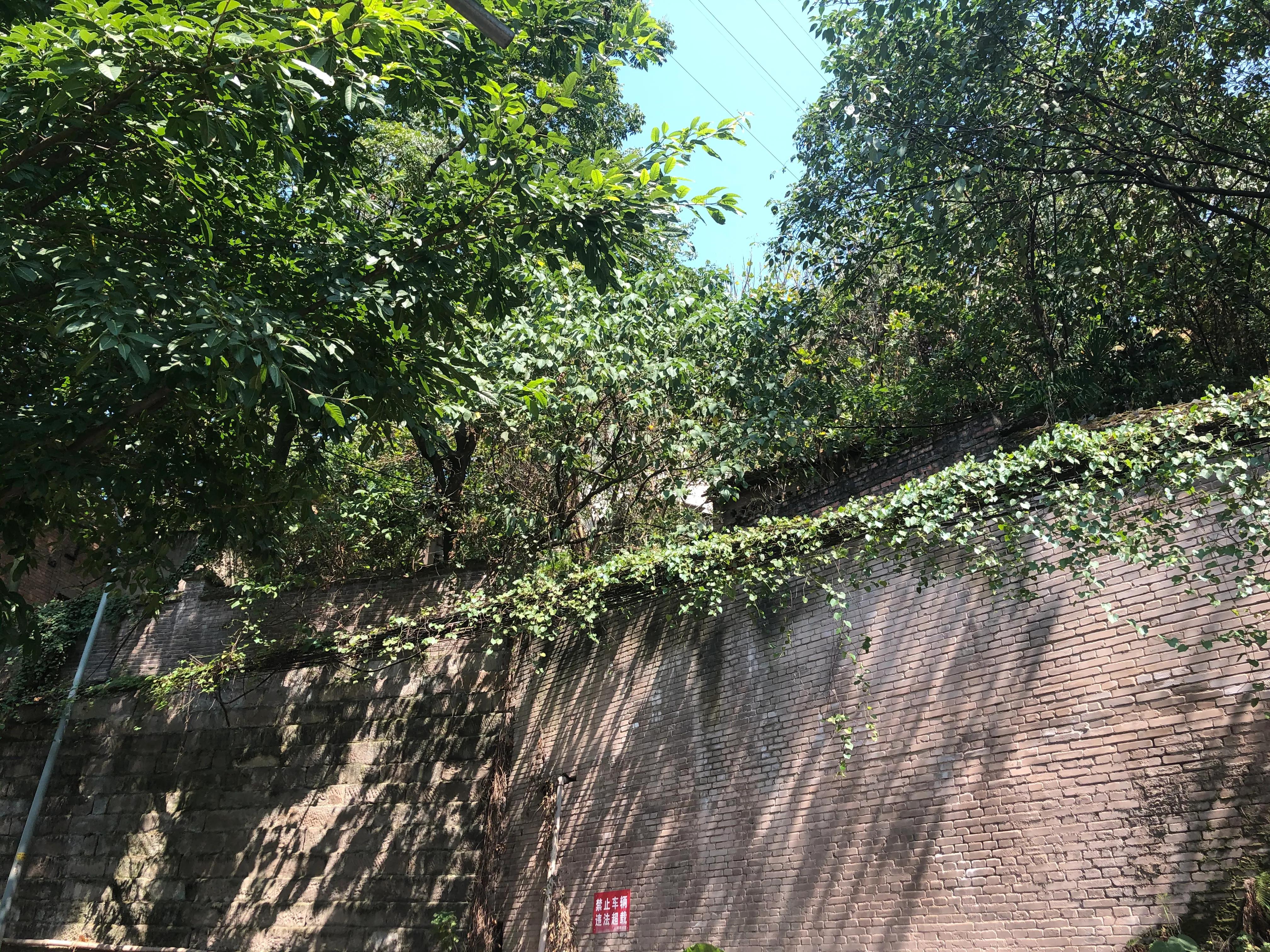 婕閲嶅簡瑙嗛,婕閲嶅簡