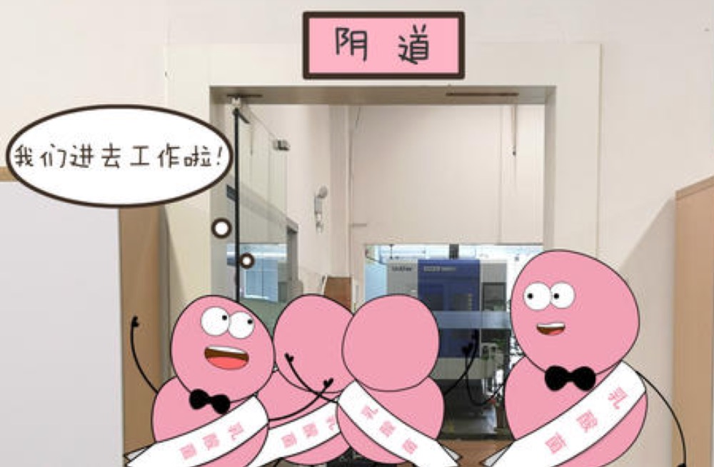 外阴瘙痒白带异味,排卵期白带有异味