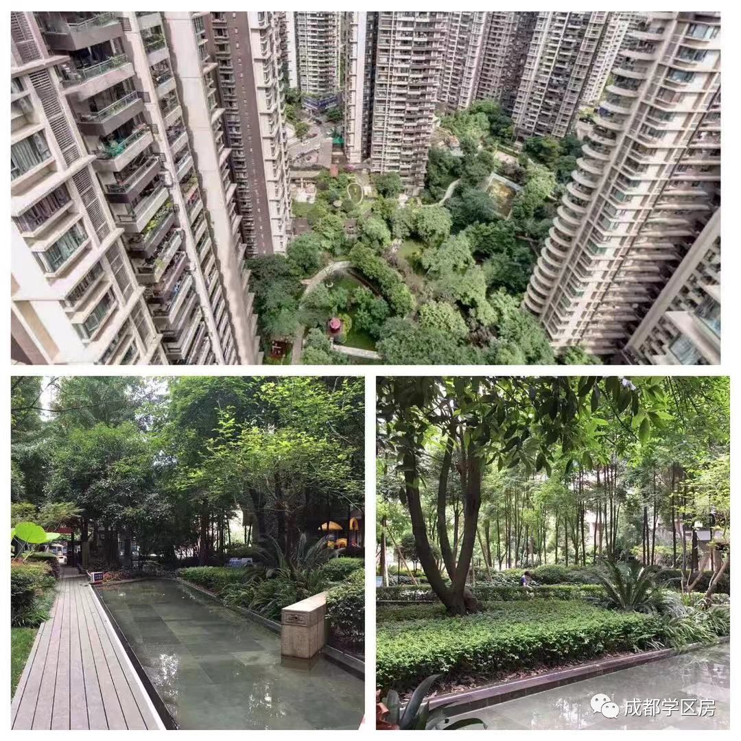 建设路附近学区房,热门双半径学区房