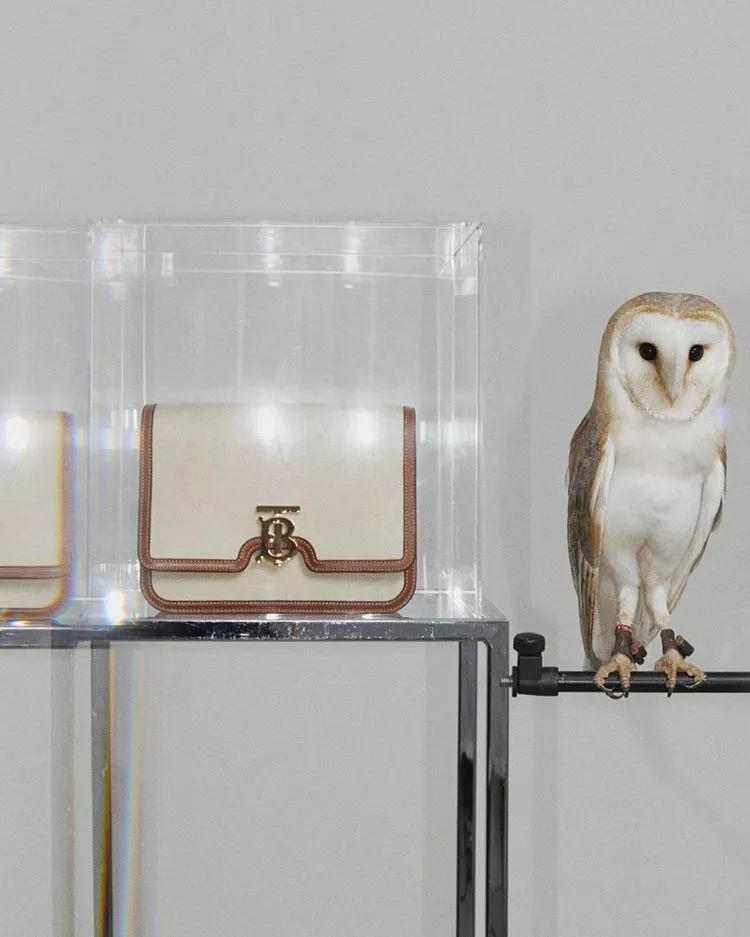 升级加厚可扩展帆布包,升级帆布包