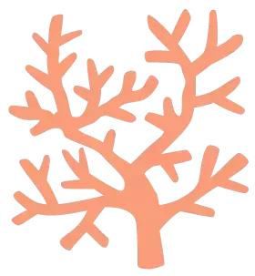 厉害！这个百万养虾大户，被评为全县淡水养殖状元！