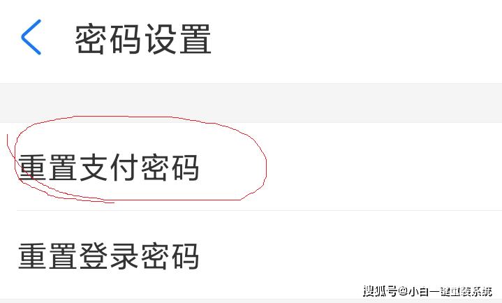 支付宝支付密码忘了怎么办苹果,支付宝支付密码忘了怎么办视频