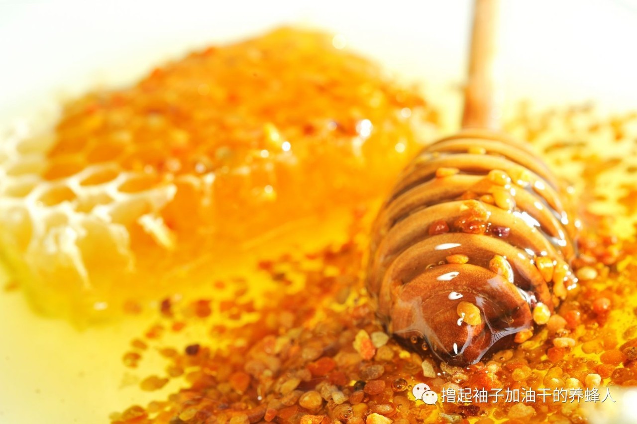 蜂花粉做面膜有什么好处,茶花蜂花粉面膜